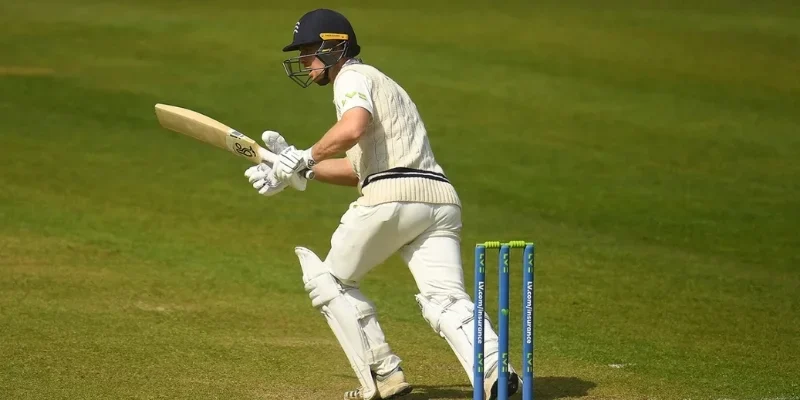 T20 cricket performance data